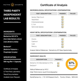 NutraChamps Berbérine 1500mg ingrédients et spécifications