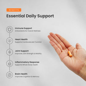 NutraChamps Curcuma étiquette avec détails du produit