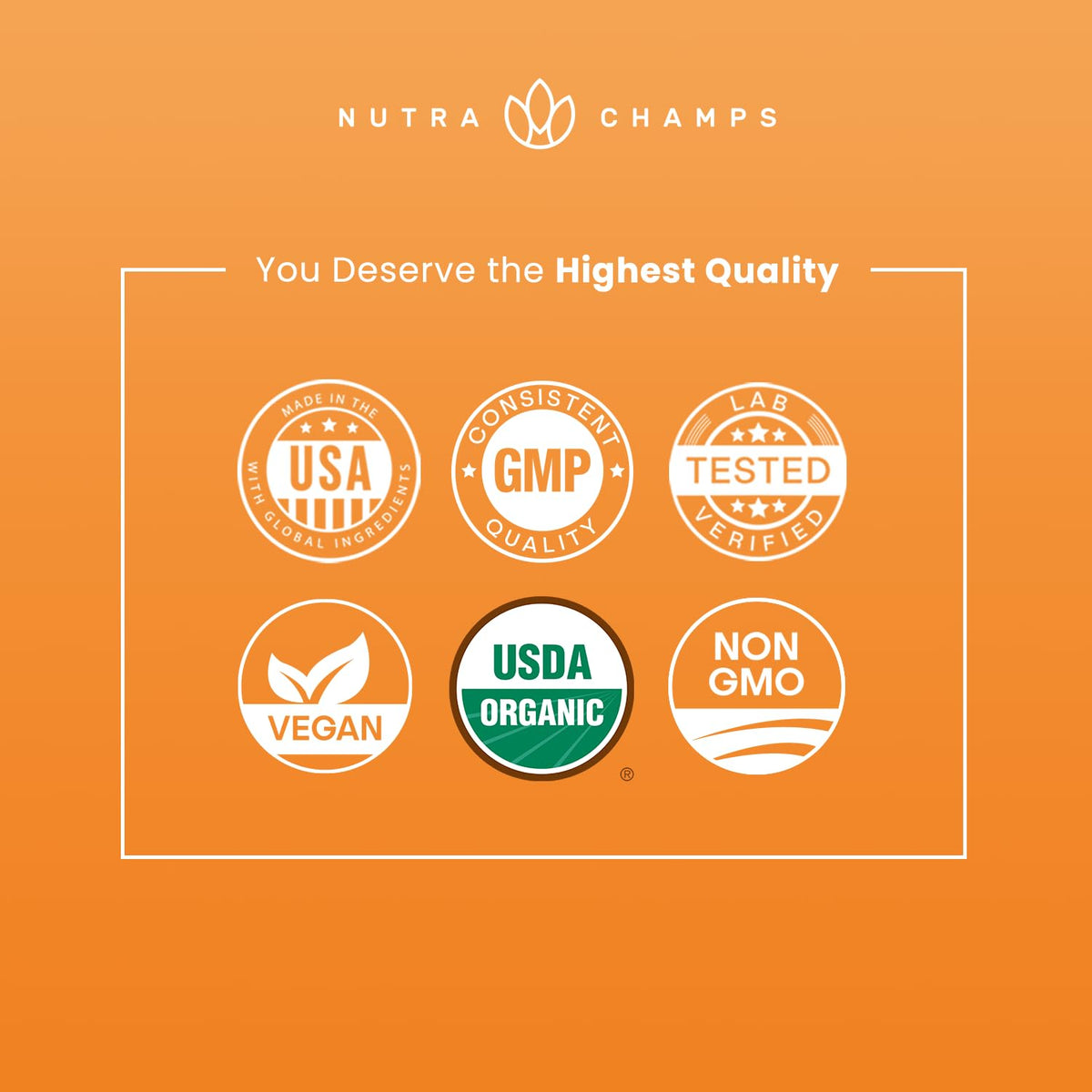 NutraChamps Maca Bio capsules ouvertes montrant la poudre