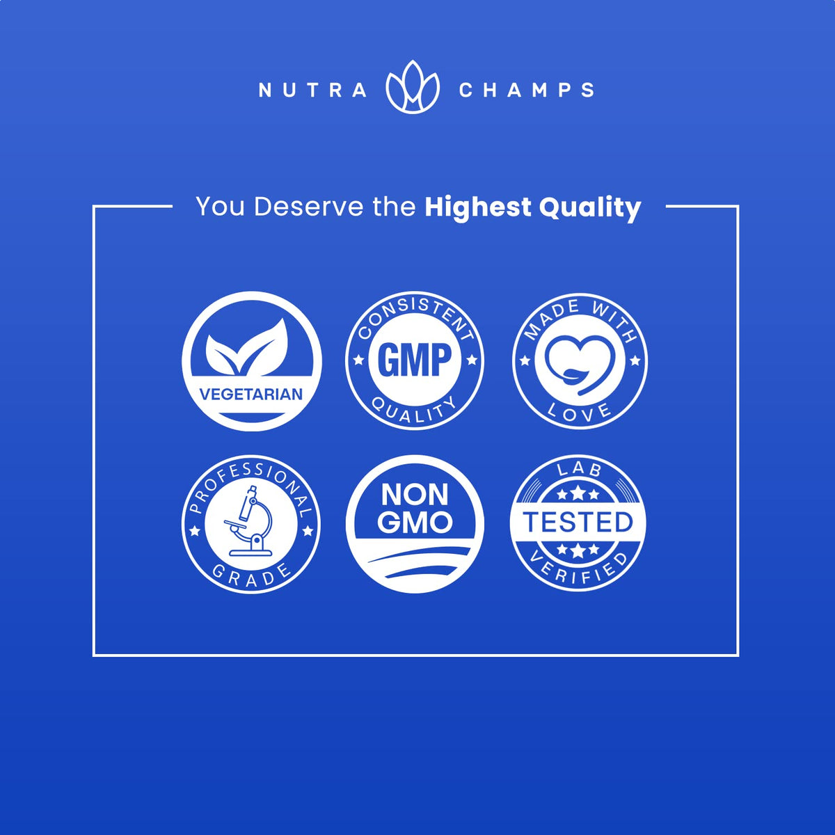 NutraChamps Multivitamines pour Hommes 240 Gummies, taille des gummies