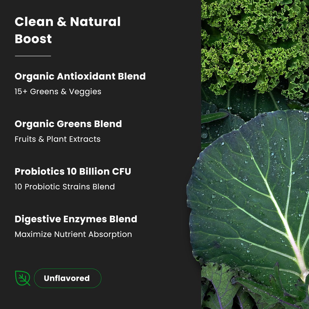 NutraChamps Poudre Super Greens ingrédients principaux