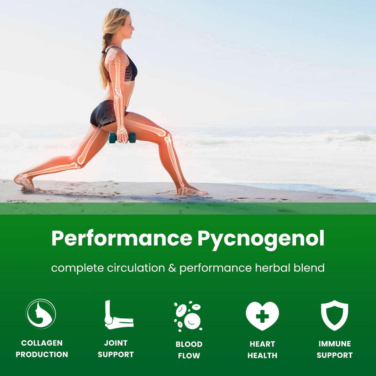NutraChamps Pycnogenol vue arrière avec ingrédients listés
