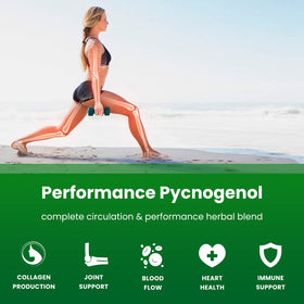 NutraChamps Pycnogenol vue arrière avec ingrédients listés