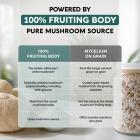 NUTRAHARMONY Champignon Lion's Mane capsules sur une table en bois