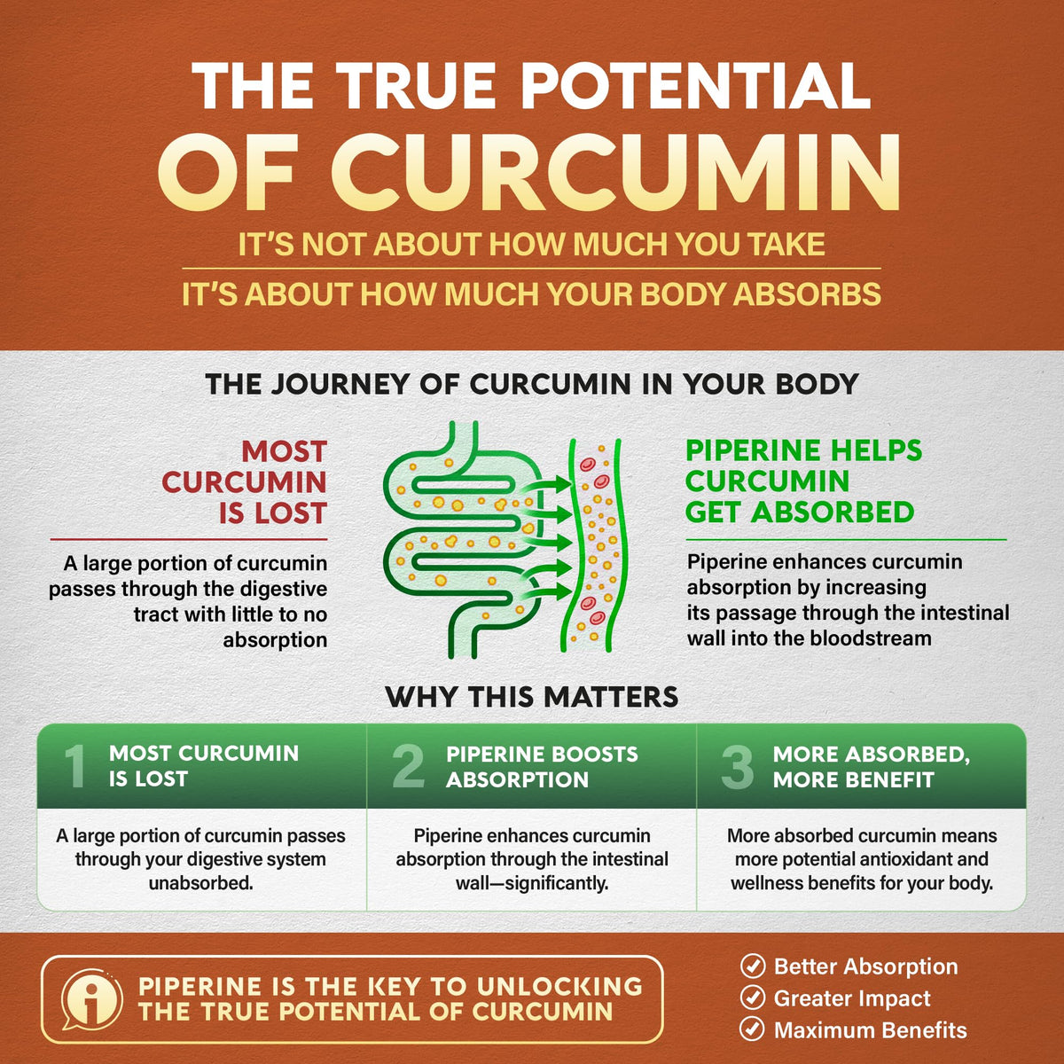 NUTRAHARMONY complément alimentaire curcuma 2365mg ouvert