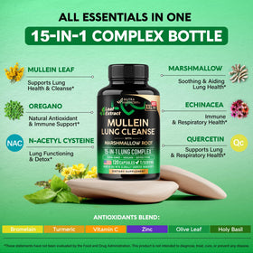 NUTRAHARMONY Mullein 10:1 120 Capsules ouvertes