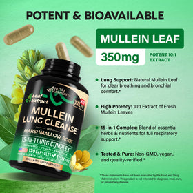 NUTRAHARMONY Mullein 10:1 120 Capsules sur fond blanc
