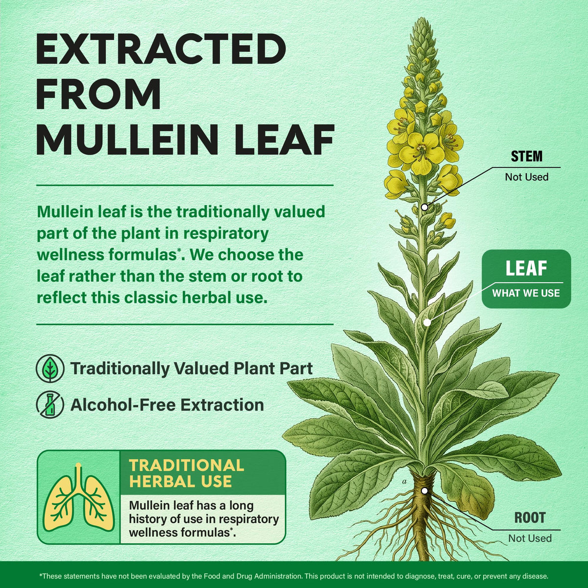 NUTRAHARMONY Mullein 10:1 60 capsules végétales sur table