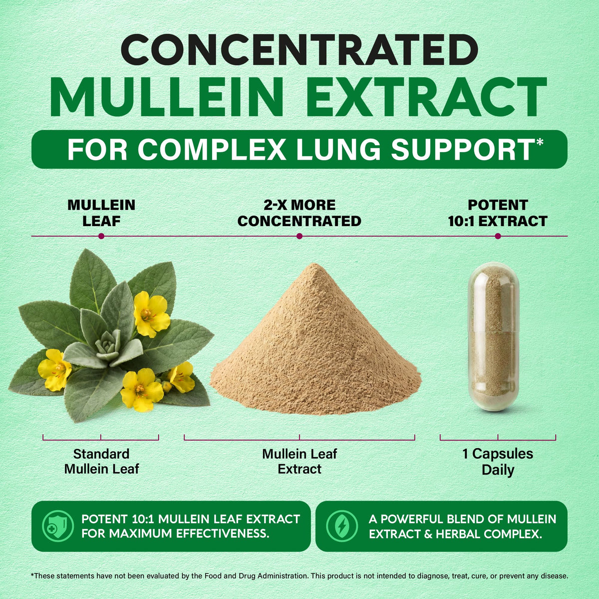 NUTRAHARMONY Mullein 10:1 capsules végétales avec ingrédients