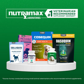 Nutramax Cobalequin avec un chien et un chat, utilisation quotidienne