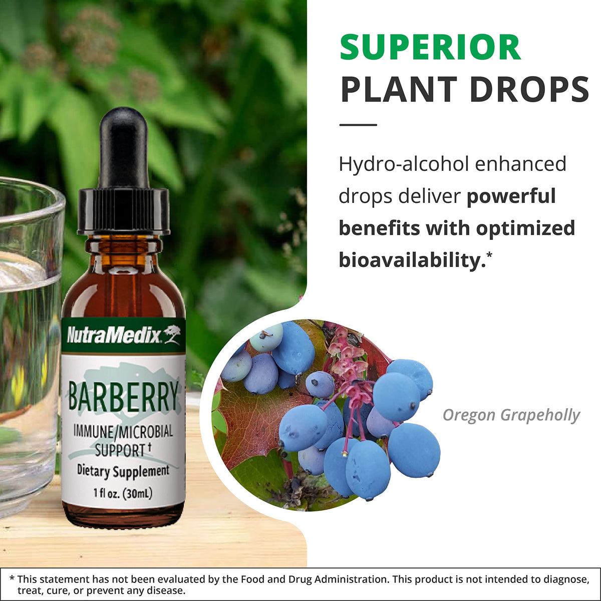 NutraMedix Barberry 30ml flacon avec ingrédients naturels