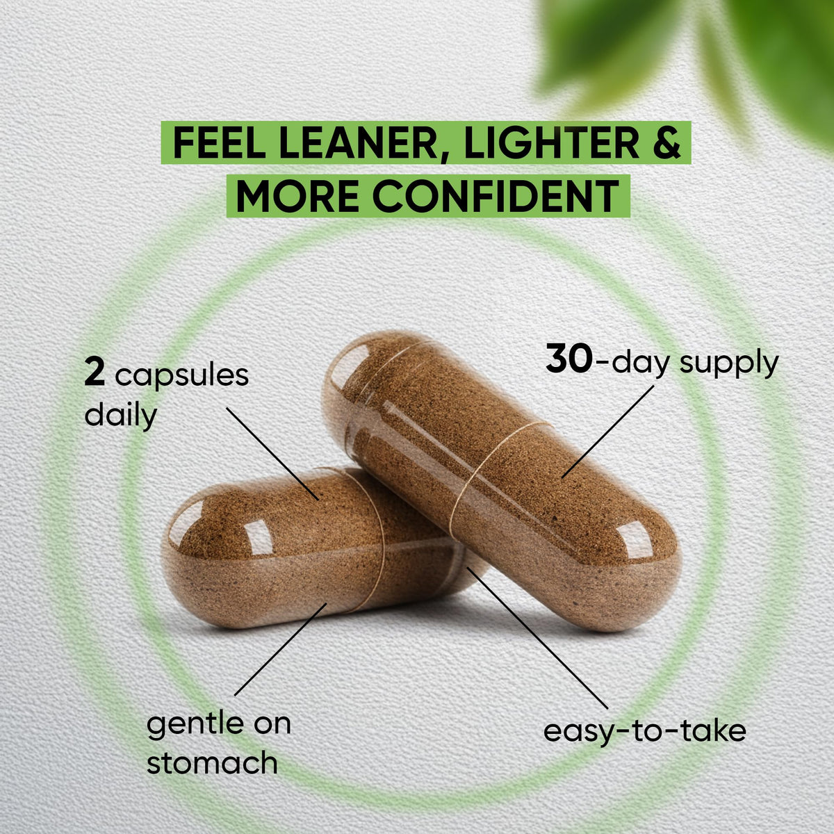 NUTRAMODE Brûleur de Graisse Thé Vert 60 Capsules avec légende explicative