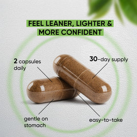 NUTRAMODE Brûleur de Graisse Thé Vert 60 Capsules avec légende explicative