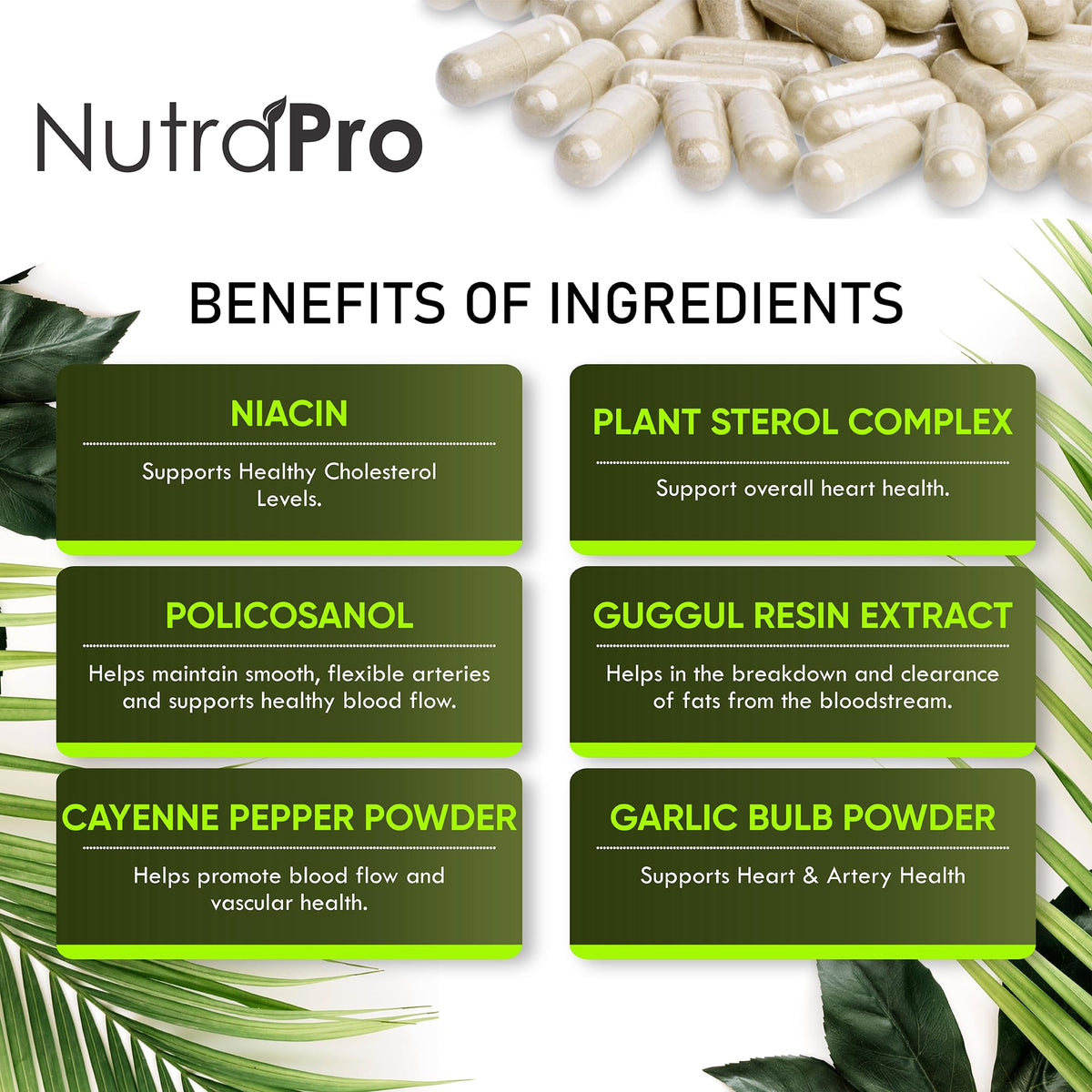 NutraPro Compléments Alimentaires Cholestérol gélules sur une table