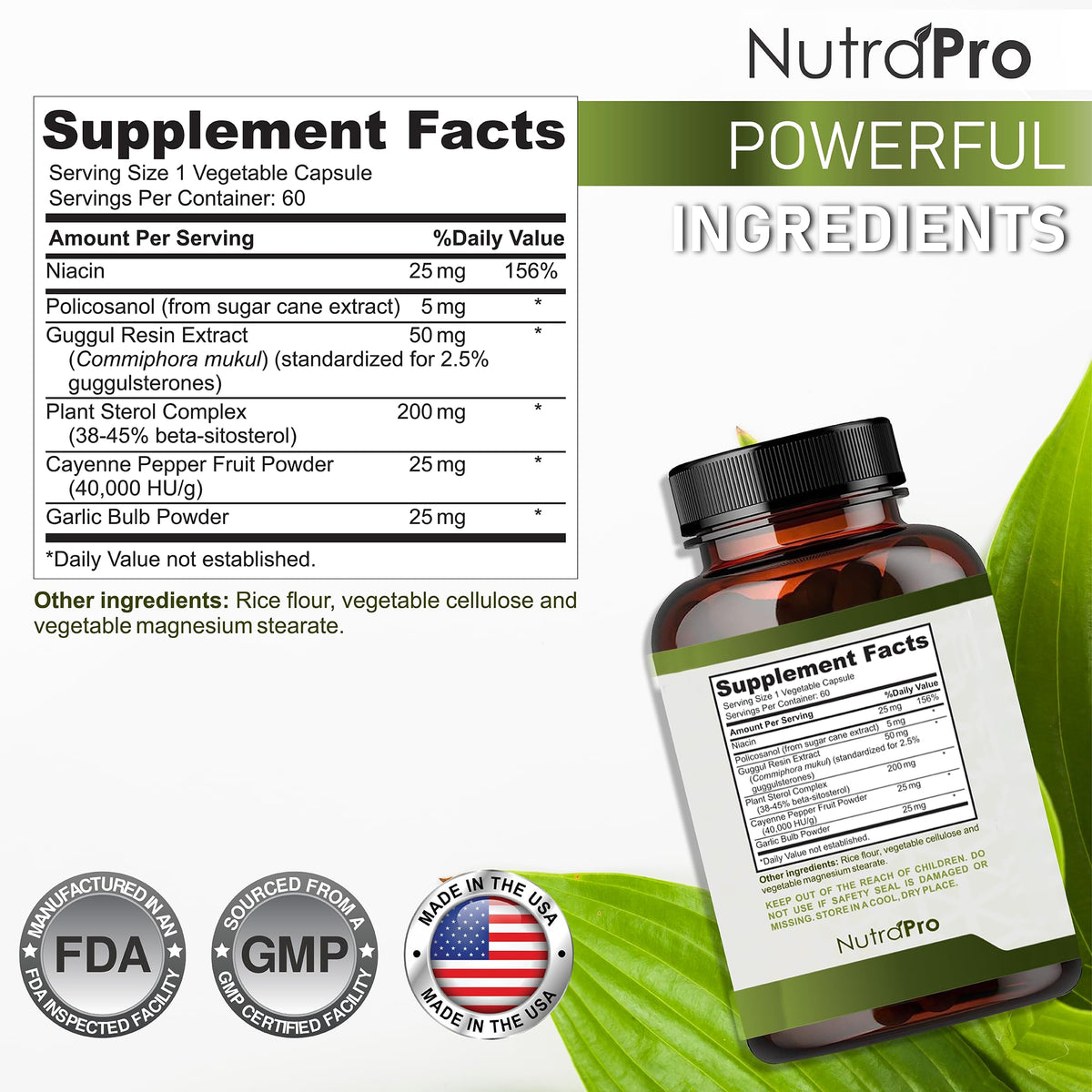 NutraPro Compléments Alimentaires Cholestérol illustration de la santé cardiaque