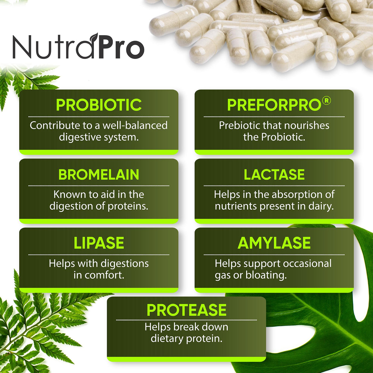 NutraPro Compléments Alimentaires Multi-Enzymes 50g avec capsules