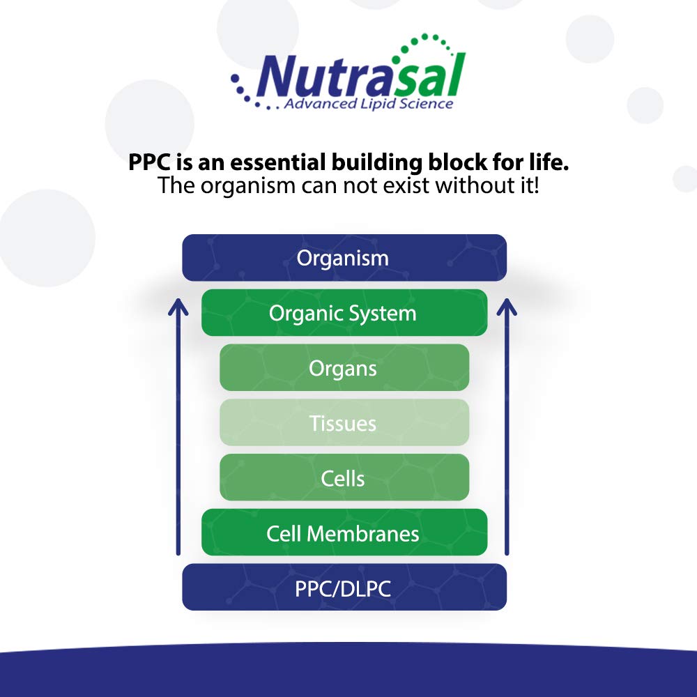 Nutrasal PhosChol 600mg gélules de choline pure en mode de vie actif