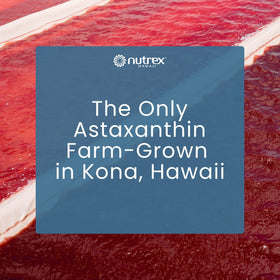 Nutrex Hawaii BioAstin Astaxanthin 12mg, gélules avec un repas