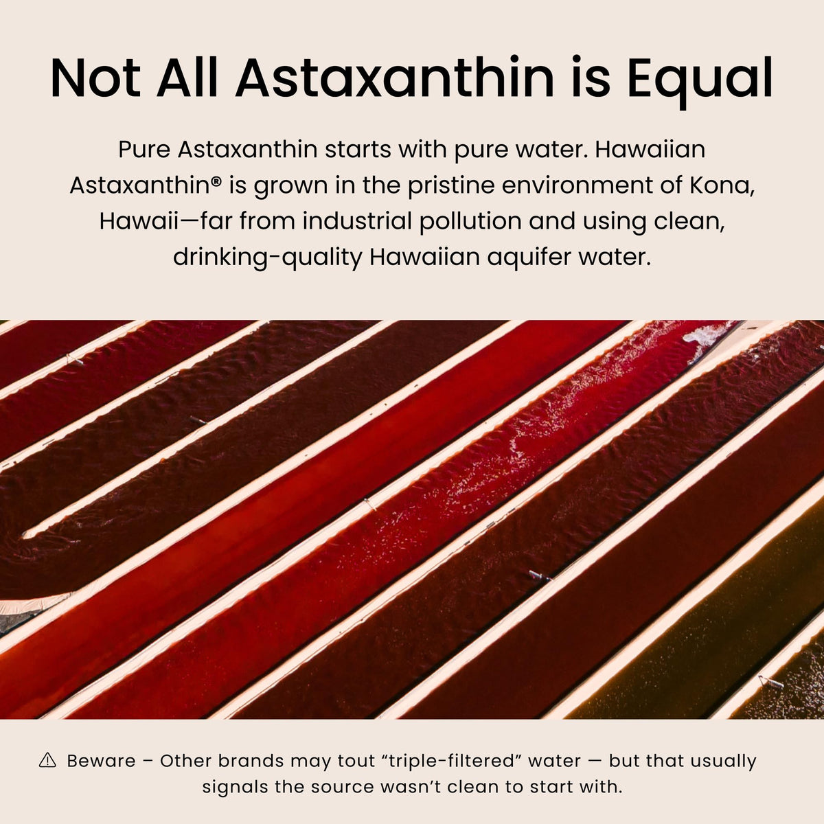 Nutrex Hawaii BioAstin Astaxanthin 12mg - gummies ouvertes