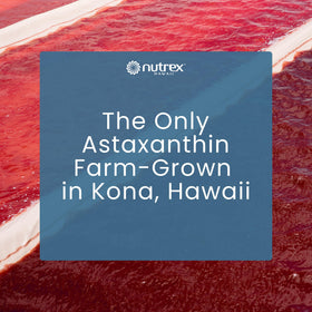 Nutrex Hawaii BioAstin Astaxanthin 60 Gummies - étiquette détaillée