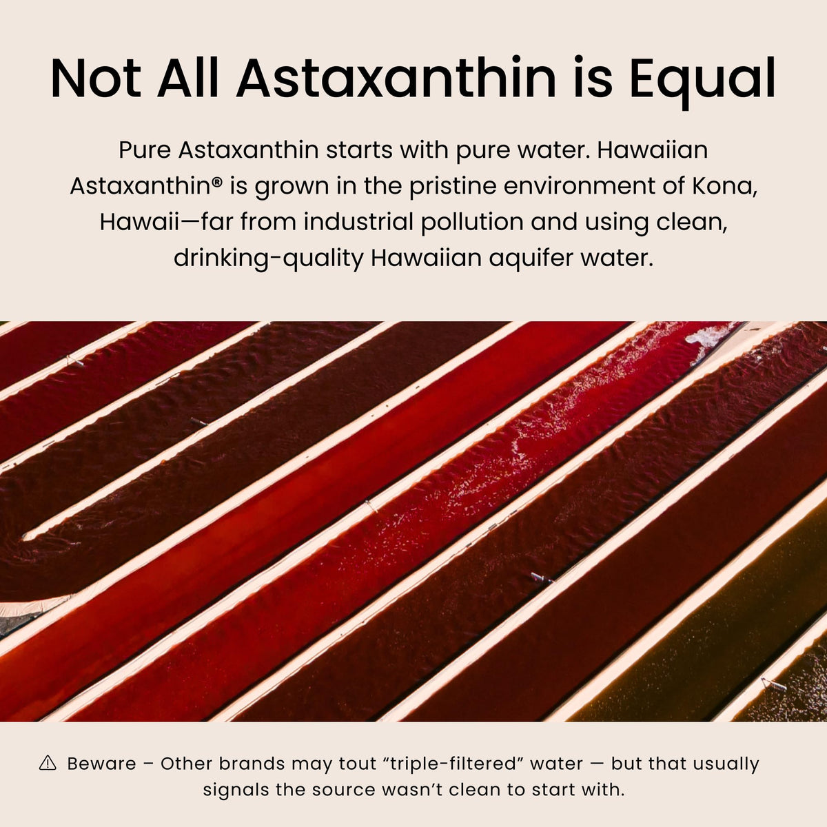 Nutrex Hawaii BioAstin Astaxanthine 12mg, vue de côté du flacon