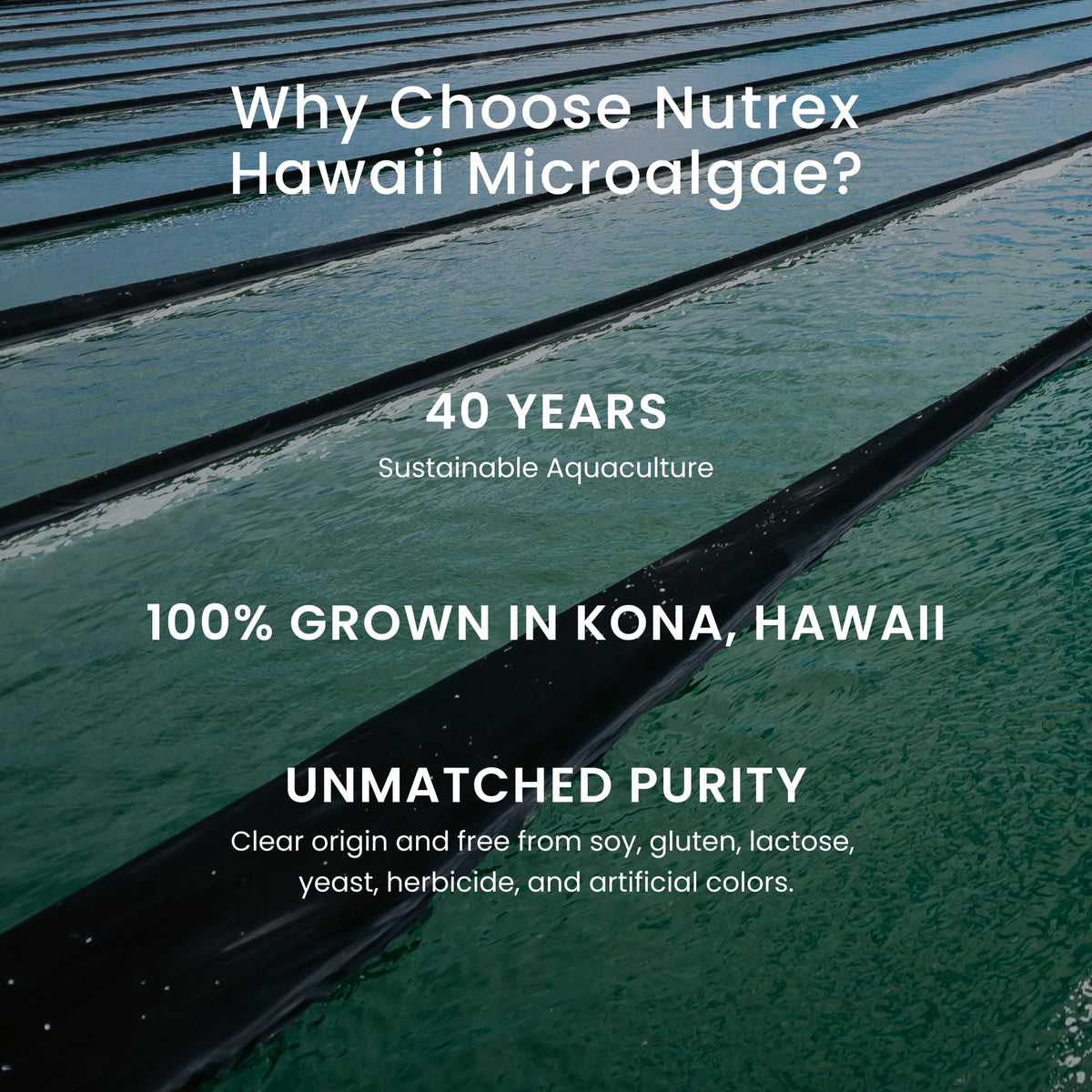 Nutrex Hawaii EyeAstin sur une table avec ordinateur