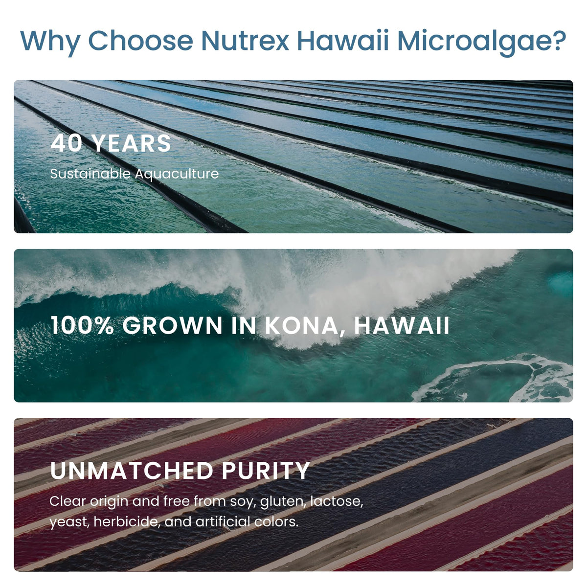 Nutrex Hawaii Spiruline Hawaïenne Pure avec des ingrédients naturels