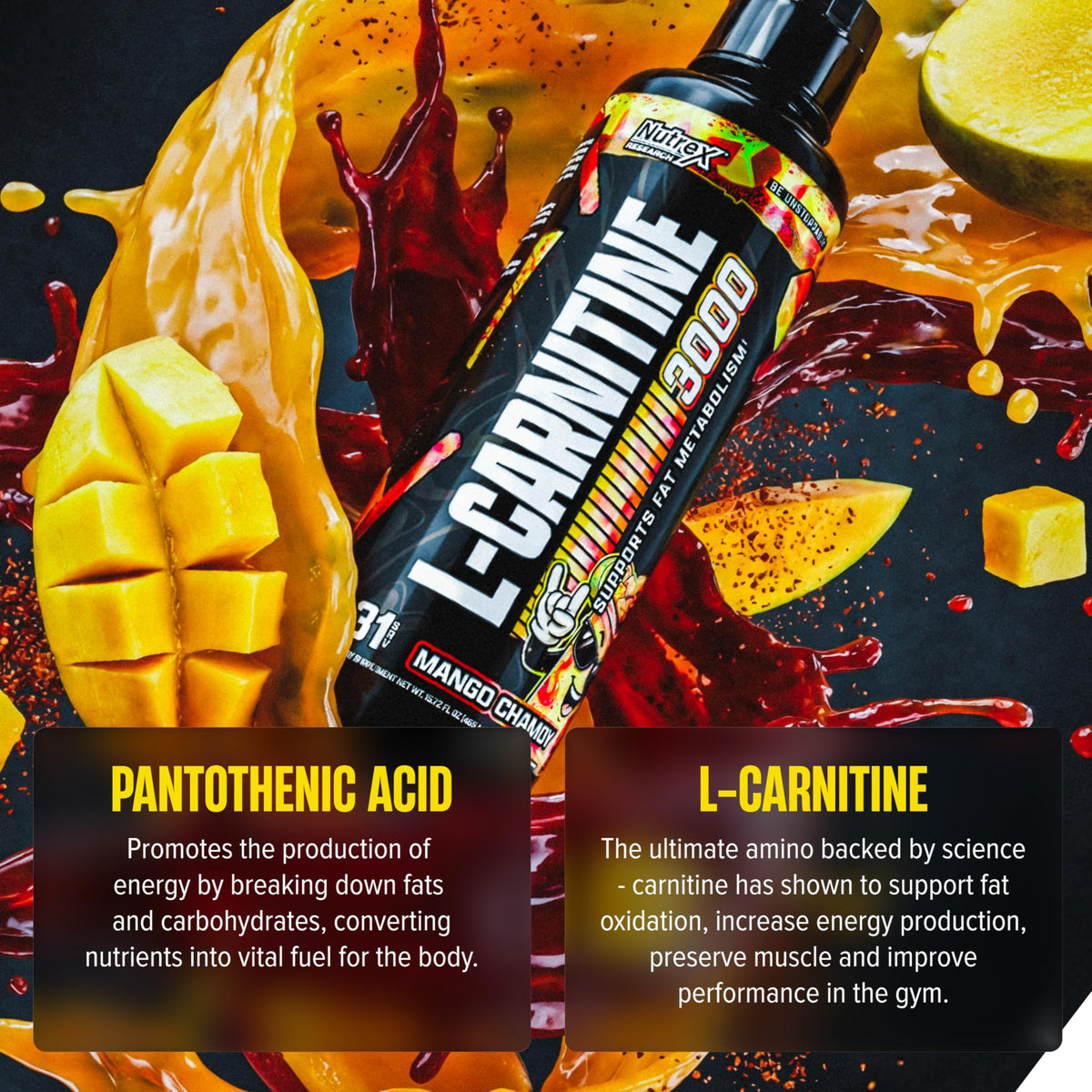 Nutrex Research Carnitine Liquide 3000mg 500ml dos