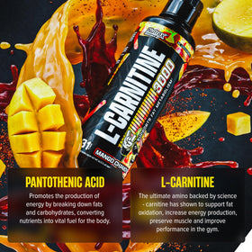 Nutrex Research Carnitine Liquide 3000mg 500ml dos