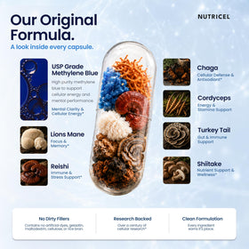 Nutricel Supplements capsules disposées avec des champignons