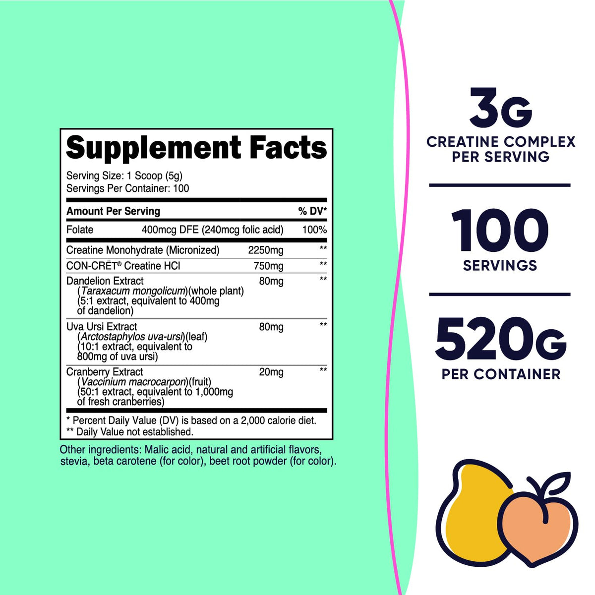 Nutricost Poudre de Créatine Monohydrate 100 Servings arrière avec détails des ingrédients