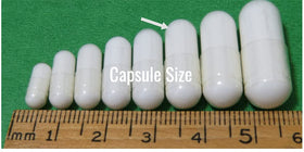 NutriCrafters Nattokinase NSK-SD 2000 U, capsules à l'intérieur du flacon