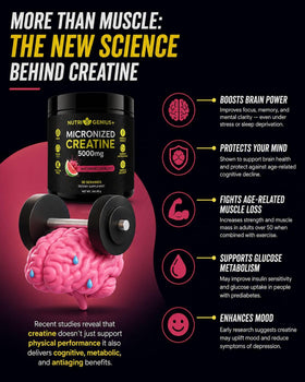 Nutrigenius + Créatine Monohydrate 5g avec BCAA 340g échantillon
