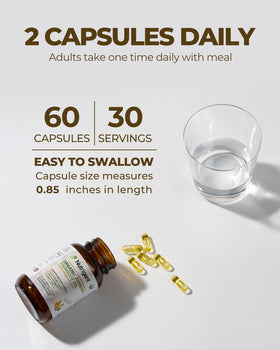 Nutrigent Huile de Onagre Bio Capsules en main