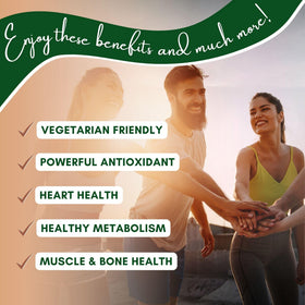 NutriONN Cannelle de Ceylan Bio 1200 mg gélules végétales arrière