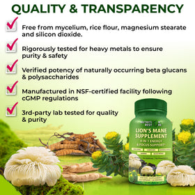 Nutrition Restore capsules de champignon Lion's Mane 700mg sur fond blanc