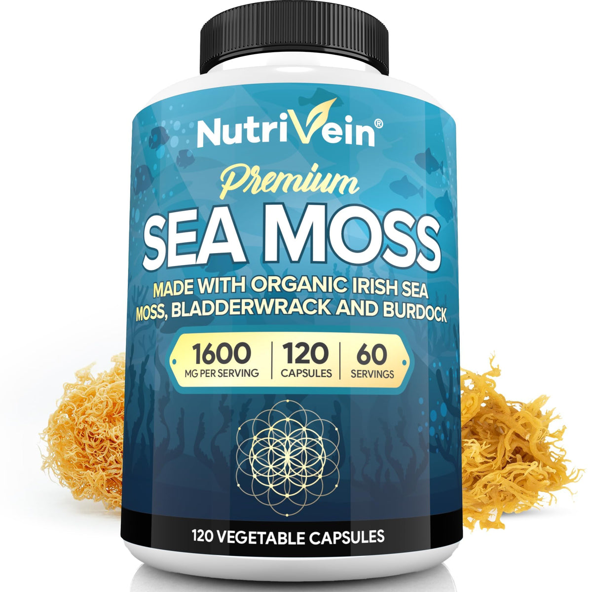 Nutrivein Mousse de Mer 1600 mg 120 capsules vue de face