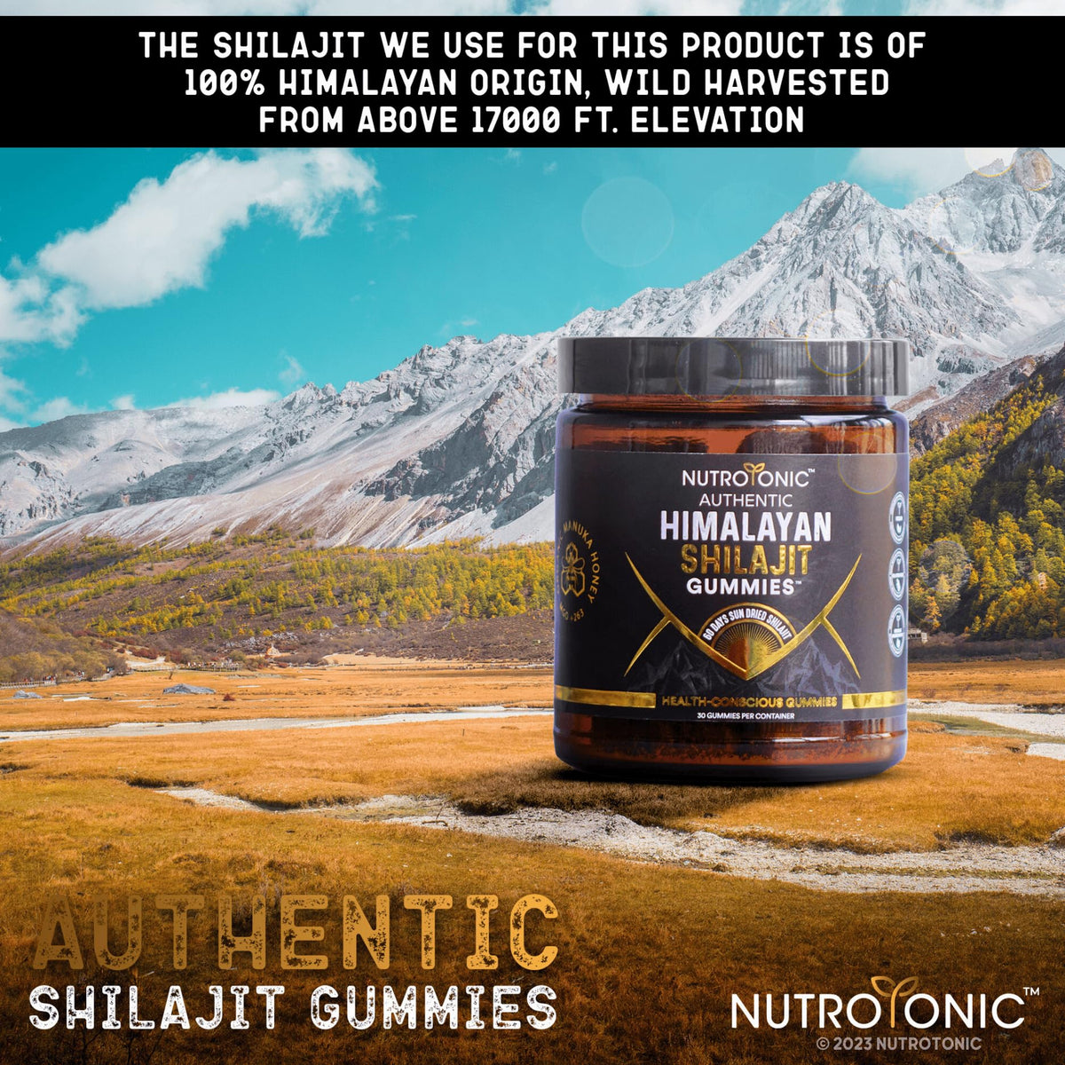 NutroTonic Gummies Shilajit sur table en bois