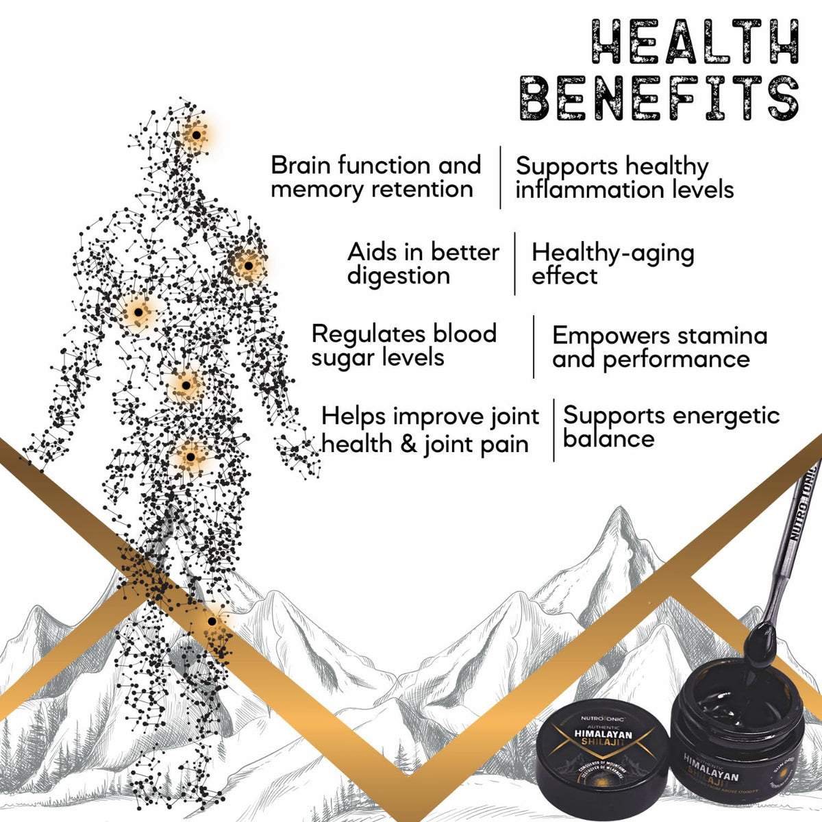 NutroTonic Shilajit A+ 91g emballage avec informations