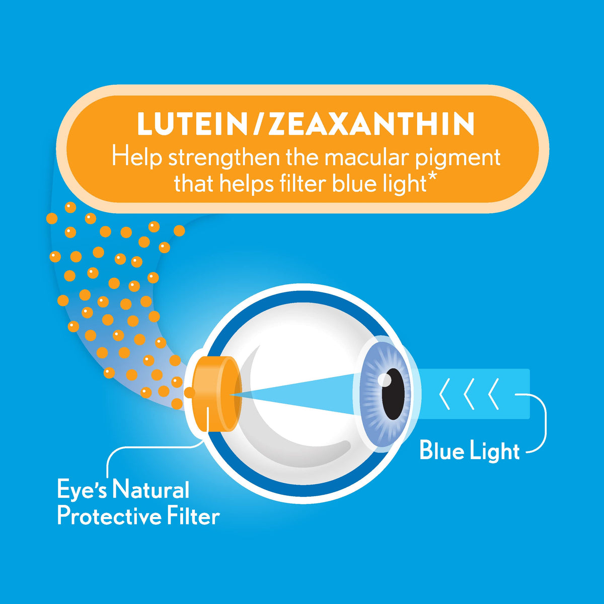 Ocuvite Luteine - gélules proches pour voir les détails