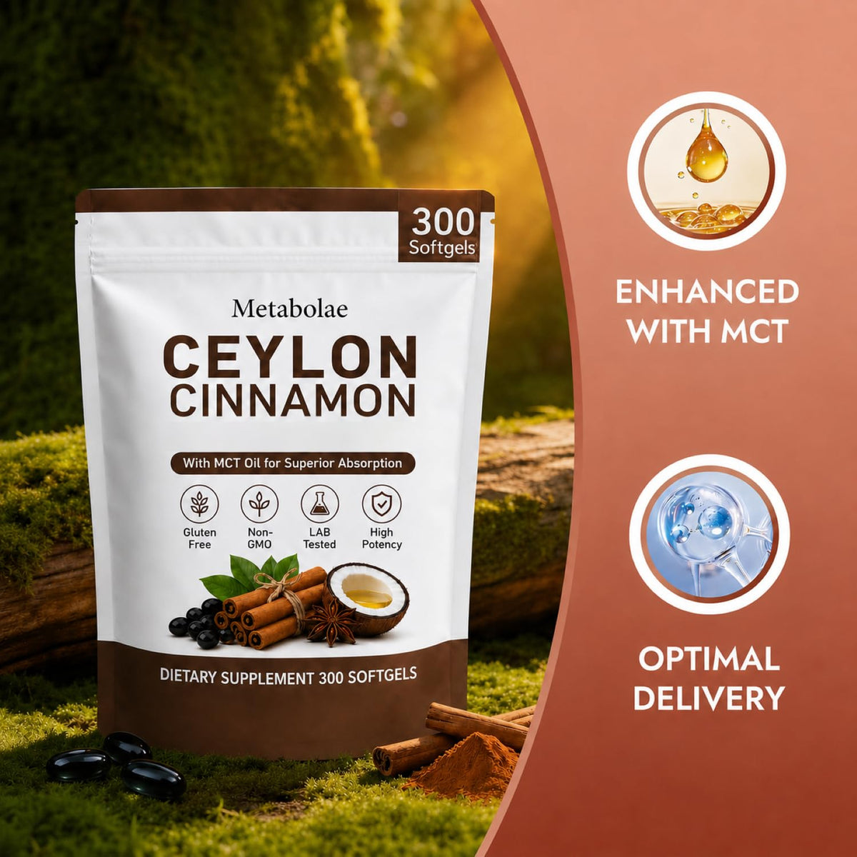 OIMTUE Cannelle de Ceylan gélules sur une table