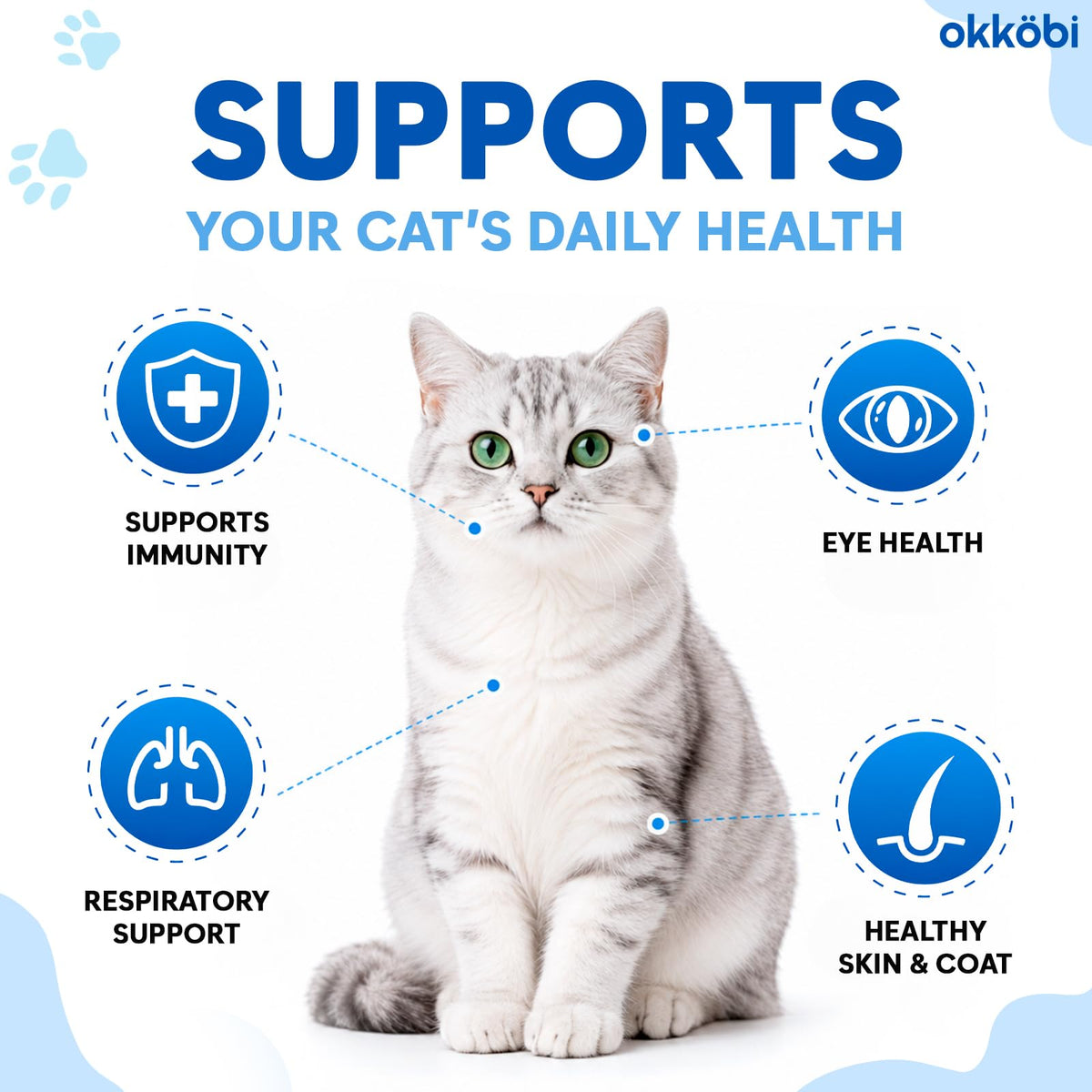 OKKÖBI L-Lysine en poudre 18g avec cuillère doseuse