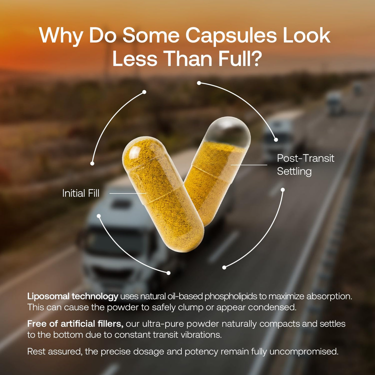 Olenphogy Berberine 1000mg capsules in a hand