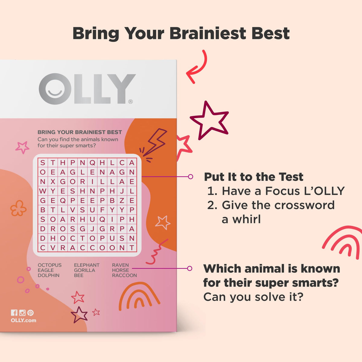 OLLy Focus Buddies L’OLLY Pops affichage de plusieurs lollipops