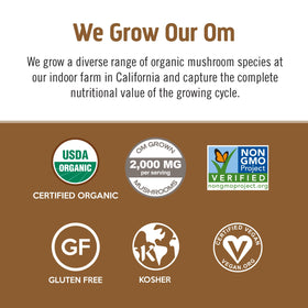 OM MUSHROOM SUPERFOOD Café Latte en poudre sur une cuillère