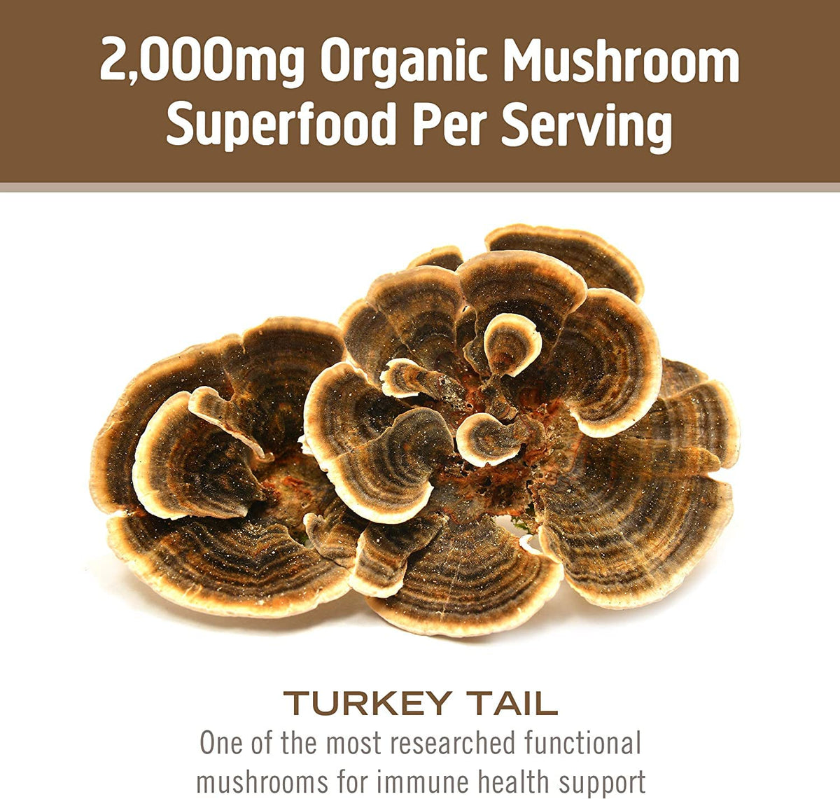 OM MUSHROOM SUPERFOOD Capsules de Champignon Turkey Tail 90 unités, avec d'autres produits