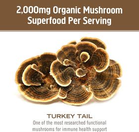 OM MUSHROOM SUPERFOOD Capsules de Champignon Turkey Tail 90 unités, avec d'autres produits