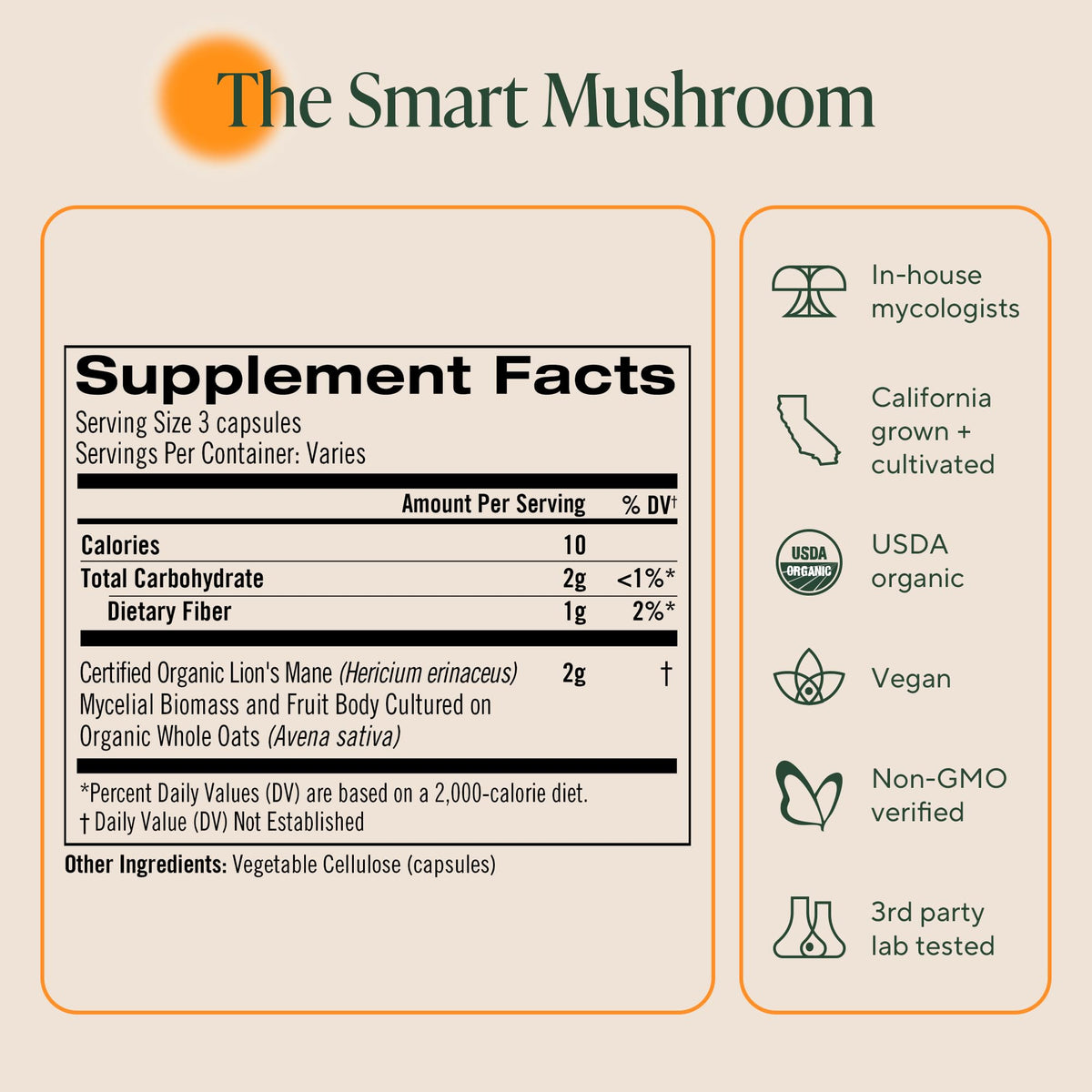 OM MUSHROOM SUPERFOOD Champignon Lion's Mane sur une table avec un verre d'eau