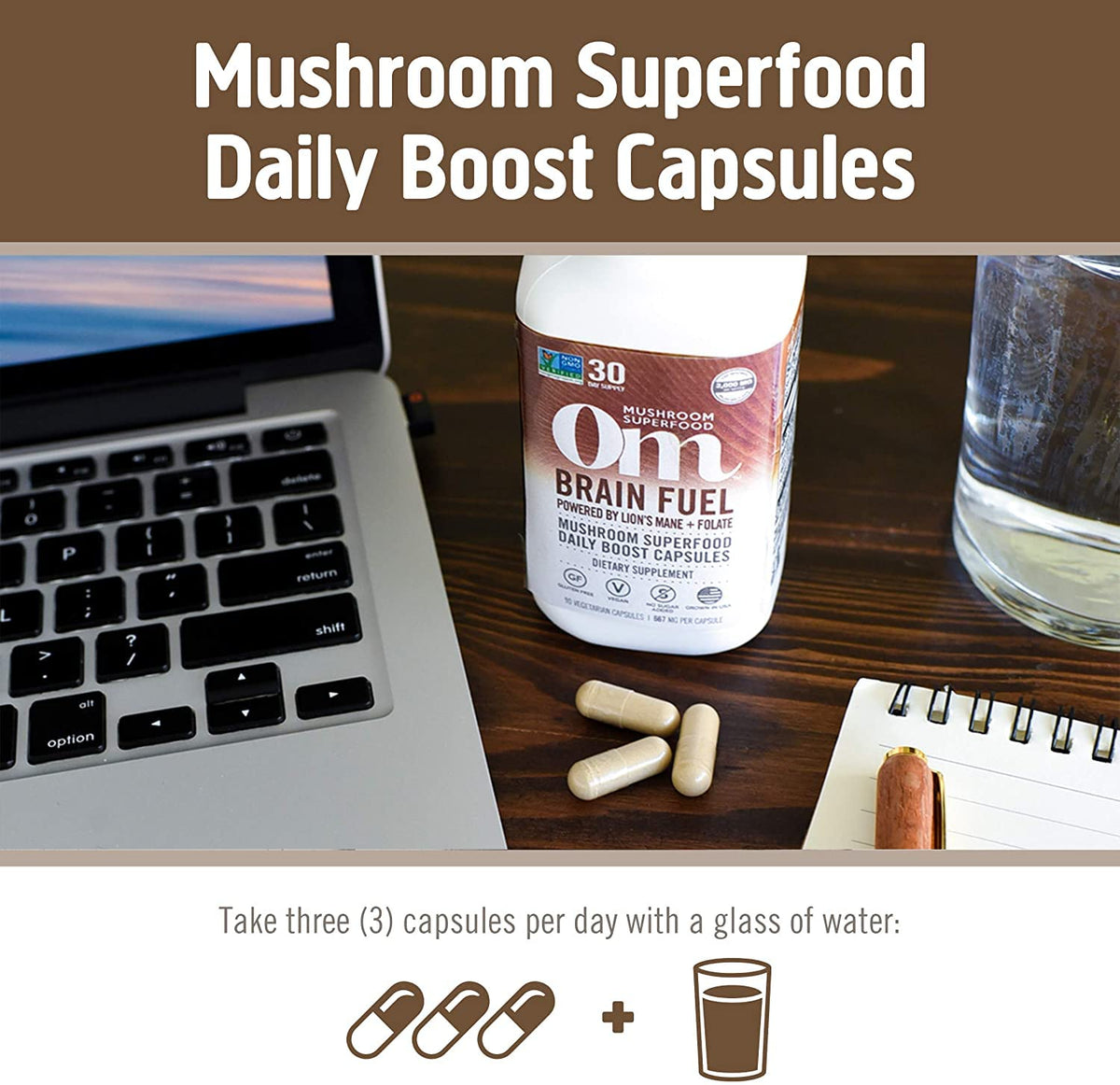 OM MUSHROOM SUPERFOOD champignons en culture