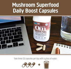 OM MUSHROOM SUPERFOOD champignons en culture